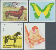 25662 Thematik: Tiere, Fauna / Animals, Fauna: 1972, Sharjah, Collection Of 157 Different Imperforate Prog - Altri & Non Classificati