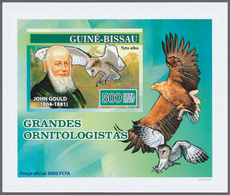 25695 Thematik: Tiere-Eulen / Animals-owls: 2007-2010: Group Of 50 Different Souvenir Sheets (Luxury Block - Uilen
