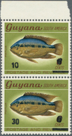 25703 Thematik: Tiere-Fische / Animals-fishes: 1960/2000 (approx), Various Countries. Accumulation Of 41 I - Pesci