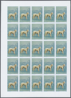 25714 Thematik: Tiere-Hunde / Animals-dogs: 1984, Morocco. Progressive Proofs Set Of Sheets For The Issue - Cani