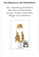 25724 Thematik: Tiere-Katzen / Animals-cats: 1811/2001 (approx), All World. Pretty Collection THE MYSTERY - Katten