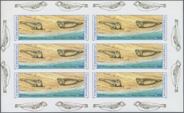 25731 Thematik: Tiere-Meerestiere / Animals-sea Animals: 1960/2000 (approx), Various Countries. Accumulati - Vita Acquatica