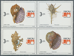 25740 Thematik: Tiere-Meerestiere-Muscheln / Animals-sea Animals-shells: 1960/2000 (approx), Various Count - Conchiglie