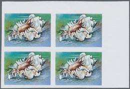 25741 Thematik: Tiere-Meerestiere-Muscheln / Animals-sea Animals-shells: 1960/2000 (approx), Various Count - Schelpen