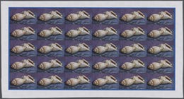 25751 Thematik: Tiere-Meerestiere-Muscheln / Animals-sea Animals-shells: 1974, Cook Islands. Progressive P - Schelpen