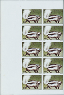 25778 Thematik: Tiere-Säugetiere / Animals-mammals: 1970/2000 (ca.), Assortment Of 65 Positions Incl. Spec - Andere & Zonder Classificatie