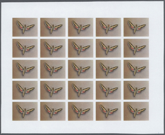 25806 Thematik: Tiere-Schmetterlinge / Animals-butterflies: 1982, Morocco. Progressive Proofs Set Of Sheet - Farfalle