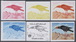 25828 Thematik: Tiere-Vögel / Animals-birds: 1975, Morocco. Lot Containing Progressive Proofs (6 Phases) F - Sonstige & Ohne Zuordnung