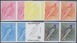 25830 Thematik: Tiere-Vögel / Animals-birds: 1976, Morocco. Lot Containing Progressive Proofs (6 Phases) F - Altri & Non Classificati