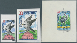25838 Thematik: Tiere-Vögel / Animals-birds: 1995, Ukraine, Endangered Birds Peregrine And Grus, Assembly - Altri & Non Classificati
