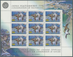 25847 Thematik: Tiere-Wasservögel / Animals-water Birds: 1993, 300 R. Waterfowl Duck Stamp MNH, 48 Miniatu - Andere & Zonder Classificatie