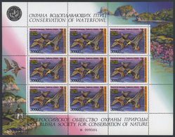 25848 Thematik: Tiere-Wasservögel / Animals-water Birds: 1995, 30.000 R. Waterfowl Duck Stamps MNH, 305 Mi - Andere & Zonder Classificatie