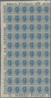 26967 Italien: 1893, 25c. Blue, 72 U/m Stamps (marginal Blocks Of 60 And Of Twelve), Some Natural Brownish - Storia Postale