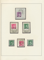 27065 Jugoslawien: 1918/1919, Overprints On Bosnia (Express Stamps, Invalids Stamps And Newspaper Stamps), - Storia Postale