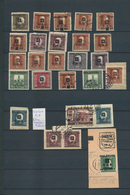 27071 Jugoslawien: 1919, Kraljevstvo Overprints On Bosnia, Specialised Assortment/collection Of Apprx. 209 - Lettres & Documents
