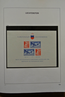 27207 Liechtenstein: 1936-1993 MNH And Mint Hinged Collection Souvenir Sheets, Service Stamps And Postage - Brieven En Documenten