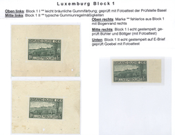27266 Luxemburg: 1852-2014, Samlung In Zwei Borek Alben Ab Wilhelm III Erstausgabe In Unterschiedlichen Fa - Andere & Zonder Classificatie
