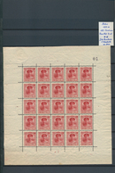 27274 Luxemburg: 1921/1997, U/m Collection On Stocksheets/in Stockbook, Well Collected Throughout With Ple - Sonstige & Ohne Zuordnung