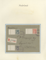 27459 Niederlande: 1924/1941, Comprehensive Specialized Collection Of Definitive Stamps On Exhibition Page - Brieven En Documenten