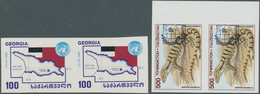 27901 Russland / Sowjetunion / GUS / Nachfolgestaaaten: 1992/2008 (ca.), Unusual Accumulation With Stamps - Verzamelingen