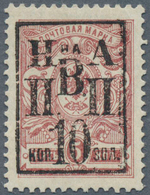 27926 Russland - Post Der Bürgerkriegsgebiete: Nikolajewsk / Amur / Priamur: 1921. Overprint Definitive St - Autres & Non Classés