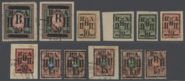 27927 Russland - Post Der Bürgerkriegsgebiete: Nikolajewsk / Amur / Priamur: 1921. Virtually Complete Set - Sonstige & Ohne Zuordnung