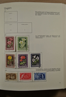 28455 Ungarn: 1950-1974. Partly Double, Well Filled Collection Hungary 1950-1974 In 3 Behrens Albums. Coll - Brieven En Documenten