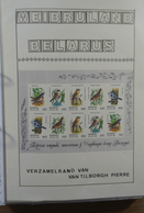 28516 Weißrussland (Belarus): 1995-2009. MNH Collection Belarus 1995-2009 In Ordner. Also Some MNH And Use - Bielorussia