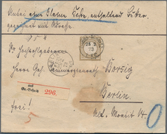 17808 Deutsches Reich - Brustschild: 1872, Zwei Paketbegleitbriefe In Kabinetterhaltung Je An Den "Geh. Co - Neufs