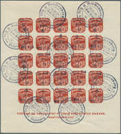 19243 Sudetenland - Reichenberg: 1938, Ausstellungs-Block Bratislava 1937 Mit 10 H Zeitungsmarke Mit Hands - Région Des Sudètes