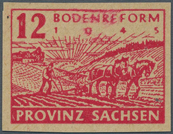 19964 Sowjetische Zone - Provinz Sachsen: 1945, Bodenreform 12 Pf., Geschnitten Mit Druck Auf Der Gummisei - Autres & Non Classés