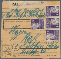 20152 Sowjetische Zone - Allgemeine Ausgaben: 1948, 6 Pf Dkl'violett Köpfe, 20 Stück Incl. 16er-Block Als - Autres & Non Classés