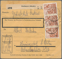 20241 DDR: 1953, 8 Pf Dkl'braunorange Fünfjahrplan, 15 Stück Als Massen-MeF Auf Paketkarte Von Ducherow, 2 - Other & Unclassified