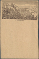 21171 Ansichtskarten: Vorläufer: 1879 Ca., HEIDELBERG, Vorläuferkarte 5 Pf. Lila Als Privatganzsache, Unge - Zonder Classificatie