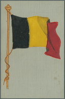 21627 Ansichtskarten: Alle Welt: BELGIEN, Knapp 100 Historische Ansichtskarten Ab 1897 Mit Zahlreichen Kol - Non Classés