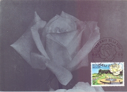 LES AMIS DE LA ROSE 2 PIECES COLLECTION    1969  MAXIMUM    (MAGG180341-41) - 1961-1970