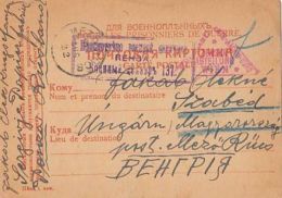 D4137- WAR PRISONERS POSTCARD, RED CROSS, SENT FROM PENZA PRISONERS CAMP, CENSORED NR 137, WW1, 1917, RUSSIA-USSR - Covers & Documents