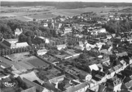 89-CHAMPIGNY-SUR-YONNE-VUE AERIENNE - Champigny