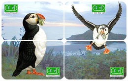 BIRD PINGUIN PUZZLE OF 4 PHONE CARDS - Pinguini