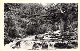 Vallée De La Hoêgne - Le Chêne Rustique - Pepinster