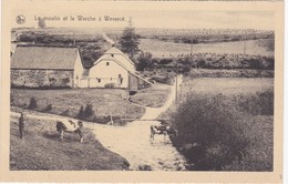 Le Moulin Et La Warche A Wevercé - Butgenbach - Butgenbach