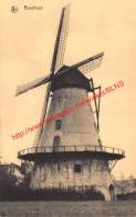 Molen - Boechout - Boechout