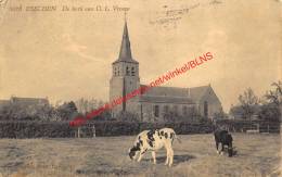 De Kerk Van O.L. Vrouw - Essen - Essen