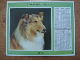 Almanach Des PTT 1970 Chien -Chat Dépt. Ille & Vilaine Format 21,5X28,5cm - Grand Format : 1961-70