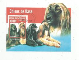 Bloc , CHIENS DE RACE , REPUBLIQUE TOGOLAISE , 1999 , Lévrier Afghan - Honden