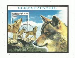 Bloc , CHIENS SAUVAGES , 2001 , CAMBODGE , Loup Ibérique , Canis Lupus Signatus - Honden