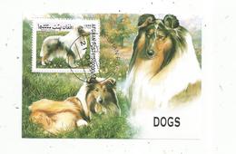Bloc , CHIENS , DOGS , 1999, AFGHAN POST , Rough Collie - Honden