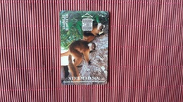 Phonecard Madagascar Animal Number  Used Rare - Madagaskar