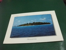 MALDIVES ISLAND OF BAROS  FRANCOBOLLO COMMEMORATIVO FIORI - Maldive
