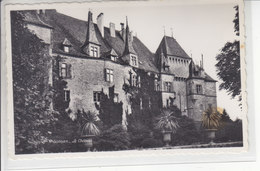 GORGIER - LE CHATEAU - N/C - VUE DECALLEE - - Gorgier